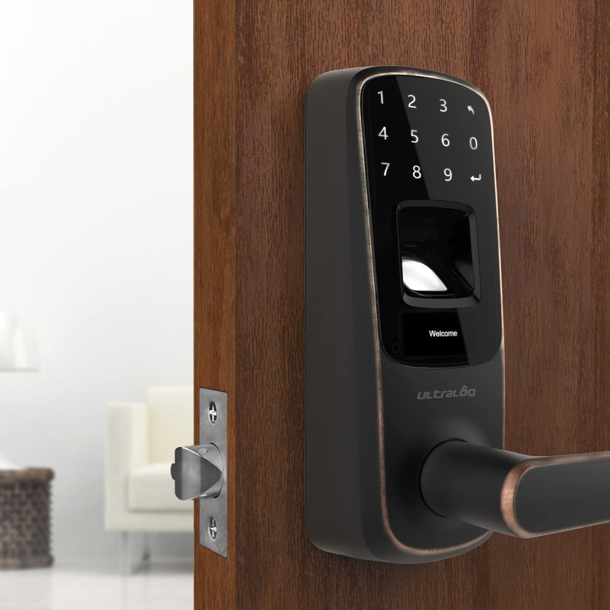best smart lock for main door